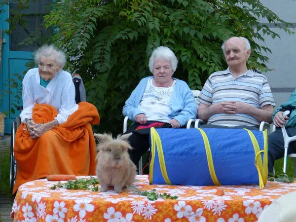 Zwergkaninchen im Einsatz