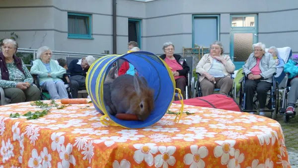 Zwergkaninchen im Einsatz